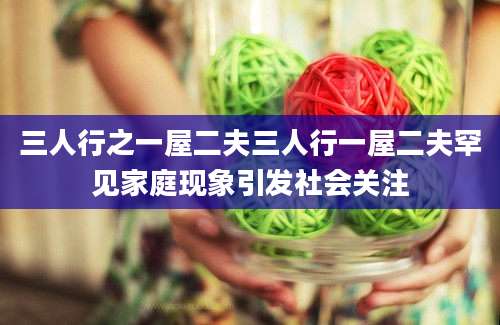 三人行之一屋二夫三人行一屋二夫罕见家庭现象引发社会关注