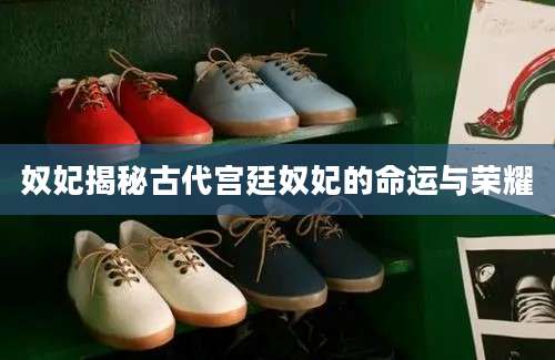 奴妃揭秘古代宫廷奴妃的命运与荣耀
