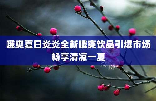哦爽夏日炎炎全新哦爽饮品引爆市场畅享清凉一夏