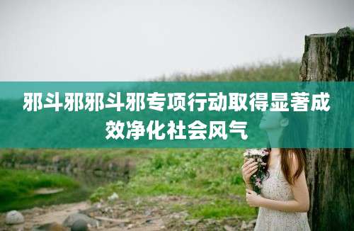 邪斗邪邪斗邪专项行动取得显著成效净化社会风气