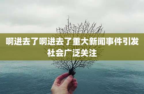 啊进去了啊进去了重大新闻事件引发社会广泛关注