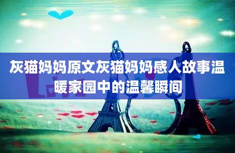 灰猫妈妈原文灰猫妈妈感人故事温暖家园中的温馨瞬间