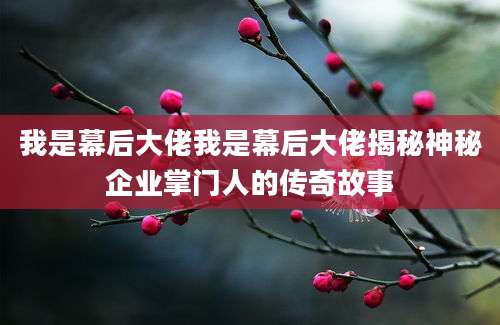 我是幕后大佬我是幕后大佬揭秘神秘企业掌门人的传奇故事