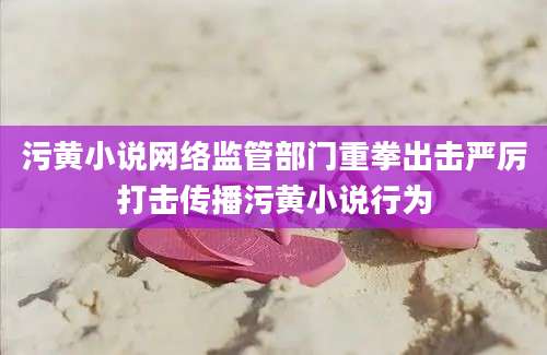 污黄小说网络监管部门重拳出击严厉打击传播污黄小说行为