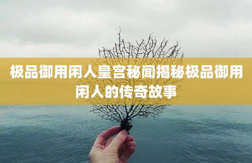 极品御用闲人皇宫秘闻揭秘极品御用闲人的传奇故事