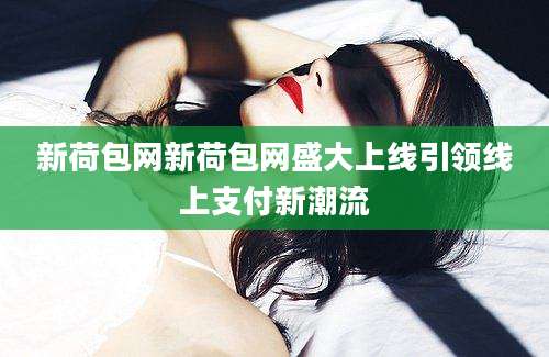 新荷包网新荷包网盛大上线引领线上支付新潮流