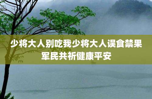 少将大人别吃我少将大人误食禁果军民共祈健康平安