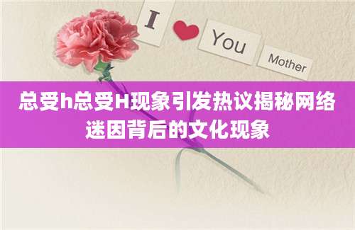 总受h总受H现象引发热议揭秘网络迷因背后的文化现象