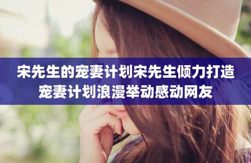 宋先生的宠妻计划宋先生倾力打造宠妻计划浪漫举动感动网友