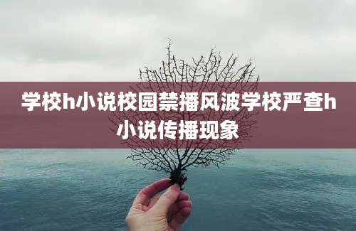 学校h小说校园禁播风波学校严查h小说传播现象