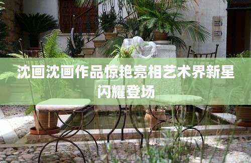 沈画沈画作品惊艳亮相艺术界新星闪耀登场
