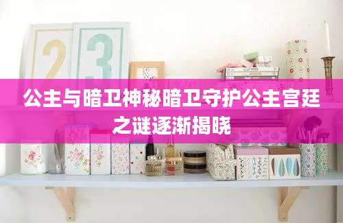 公主与暗卫神秘暗卫守护公主宫廷之谜逐渐揭晓