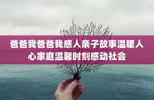 爸爸我爸爸我感人亲子故事温暖人心家庭温馨时刻感动社会