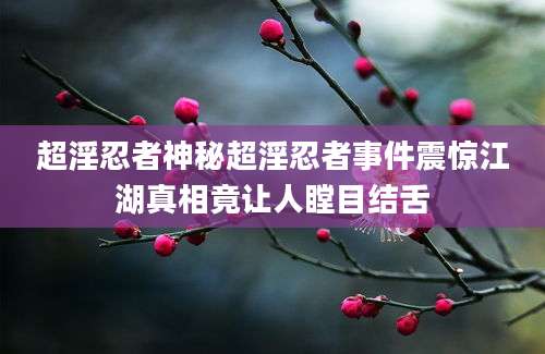 超淫忍者神秘超淫忍者事件震惊江湖真相竟让人瞠目结舌