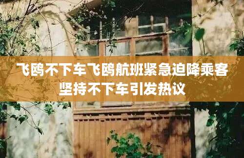 飞鸥不下车飞鸥航班紧急迫降乘客坚持不下车引发热议