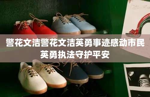 警花文洁警花文洁英勇事迹感动市民英勇执法守护平安