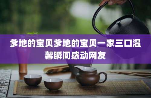 爹地的宝贝爹地的宝贝一家三口温馨瞬间感动网友
