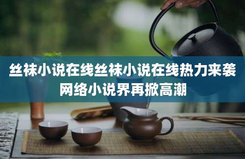 丝袜小说在线丝袜小说在线热力来袭网络小说界再掀高潮