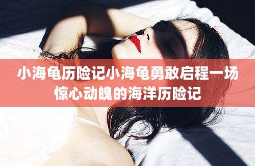 小海龟历险记小海龟勇敢启程一场惊心动魄的海洋历险记