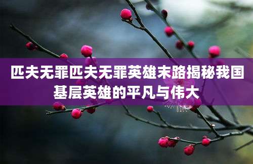 匹夫无罪匹夫无罪英雄末路揭秘我国基层英雄的平凡与伟大