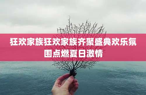 狂欢家族狂欢家族齐聚盛典欢乐氛围点燃夏日激情