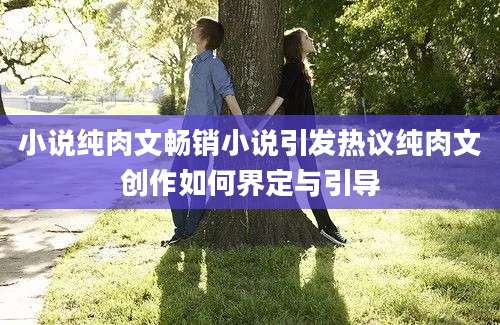 小说纯肉文畅销小说引发热议纯肉文创作如何界定与引导