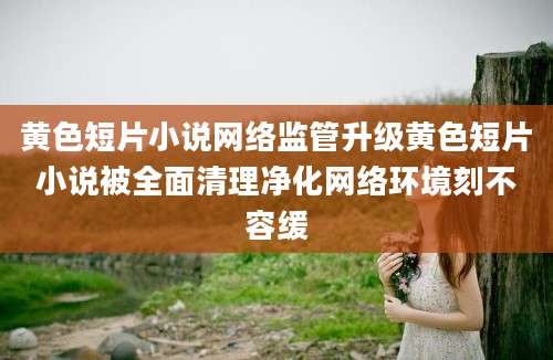 黄色短片小说网络监管升级黄色短片小说被全面清理净化网络环境刻不容缓