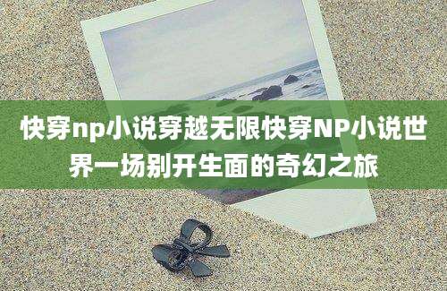 快穿np小说穿越无限快穿NP小说世界一场别开生面的奇幻之旅