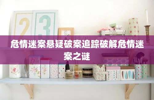 危情迷案悬疑破案追踪破解危情迷案之谜