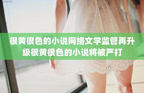 很黄很色的小说网络文学监管再升级很黄很色的小说将被严打