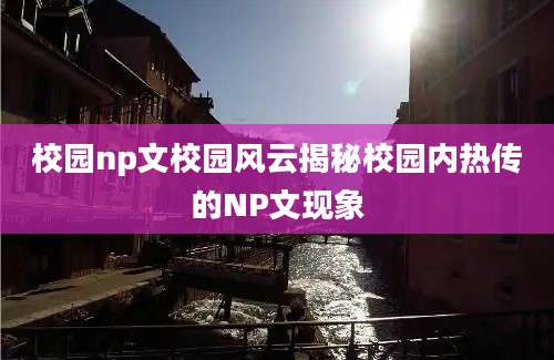 校园np文校园风云揭秘校园内热传的NP文现象