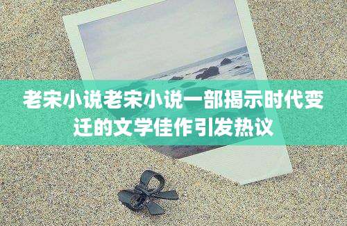 老宋小说老宋小说一部揭示时代变迁的文学佳作引发热议