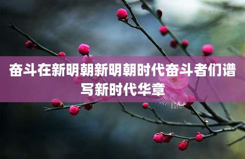 奋斗在新明朝新明朝时代奋斗者们谱写新时代华章