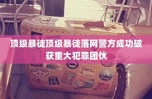 顶级暴徒顶级暴徒落网警方成功破获重大犯罪团伙