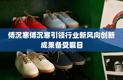 傅沉寒傅沉寒引领行业新风向创新成果备受瞩目
