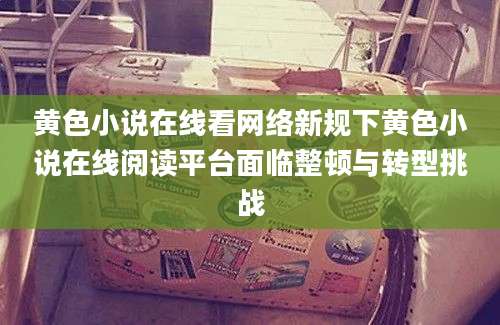 黄色小说在线看网络新规下黄色小说在线阅读平台面临整顿与转型挑战