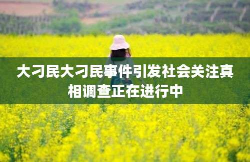 大刁民大刁民事件引发社会关注真相调查正在进行中