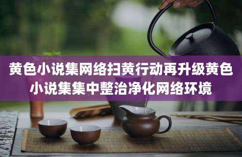 黄色小说集网络扫黄行动再升级黄色小说集集中整治净化网络环境