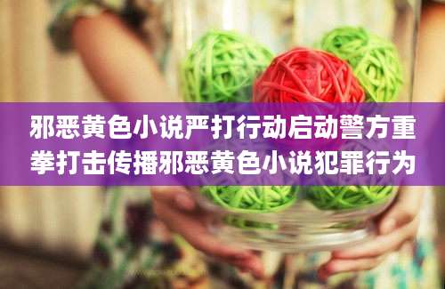 邪恶黄色小说严打行动启动警方重拳打击传播邪恶黄色小说犯罪行为