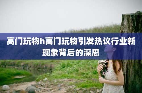高门玩物h高门玩物引发热议行业新现象背后的深思