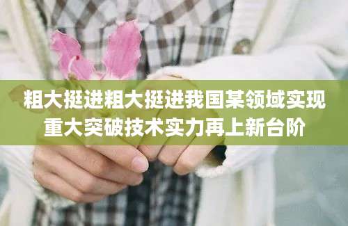 粗大挺进粗大挺进我国某领域实现重大突破技术实力再上新台阶