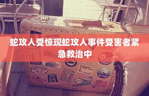 蛇攻人受惊现蛇攻人事件受害者紧急救治中