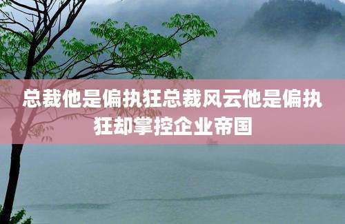 总裁他是偏执狂总裁风云他是偏执狂却掌控企业帝国