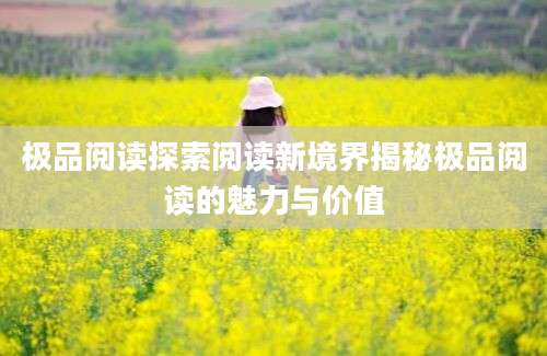 极品阅读探索阅读新境界揭秘极品阅读的魅力与价值