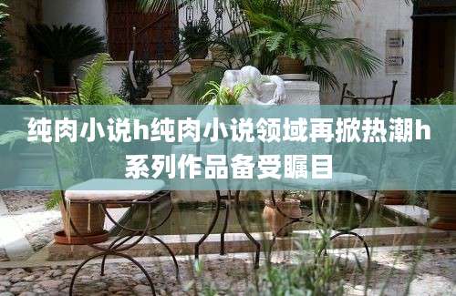 纯肉小说h纯肉小说领域再掀热潮h系列作品备受瞩目
