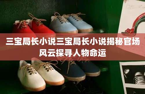 三宝局长小说三宝局长小说揭秘官场风云探寻人物命运
