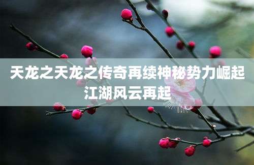 天龙之天龙之传奇再续神秘势力崛起江湖风云再起
