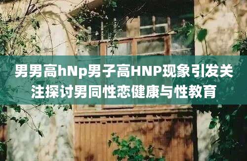 男男高hNp男子高HNP现象引发关注探讨男同性恋健康与性教育