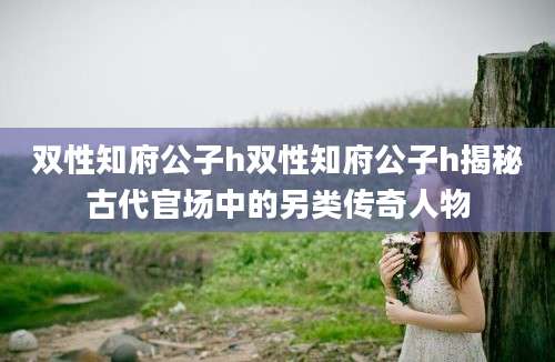 双性知府公子h双性知府公子h揭秘古代官场中的另类传奇人物