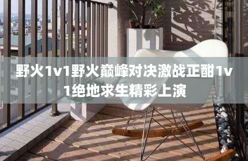 野火1v1野火巅峰对决激战正酣1v1绝地求生精彩上演